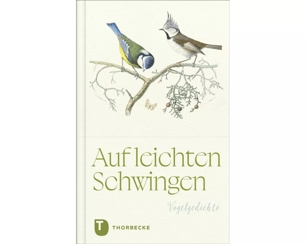 Auf leichten Schwingen