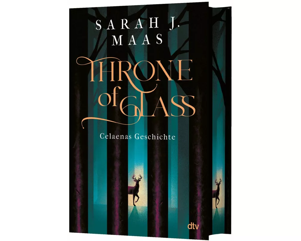 Throne of Glass – Celaenas Geschichte