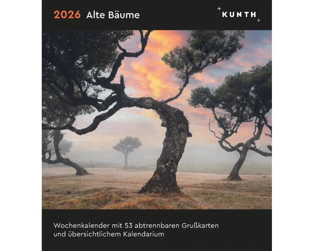 Alte Bäume - KUNTH Postkartenkalender 2026