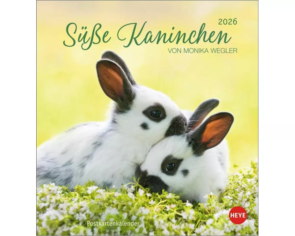 Süße Kaninchen Postkartenkalender 2026