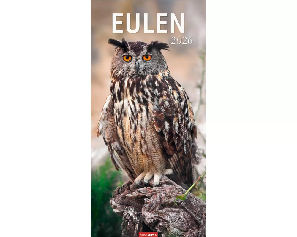 Eulen Kalender 2026