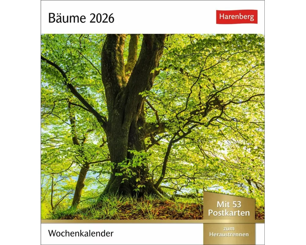 Bäume Postkartenkalender 2026 - Wochenkalender mit 53 Postkarten