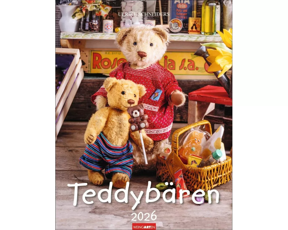 Teddybären Kalender 2026
