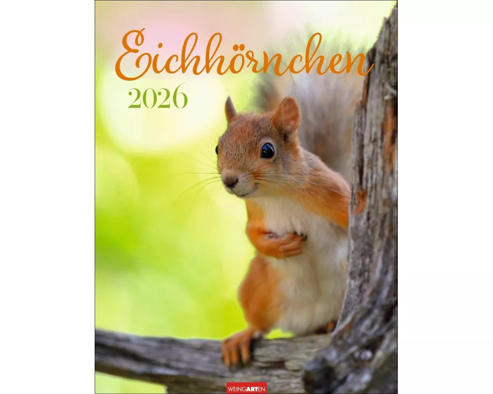 Eichhörnchen Kalender 2026