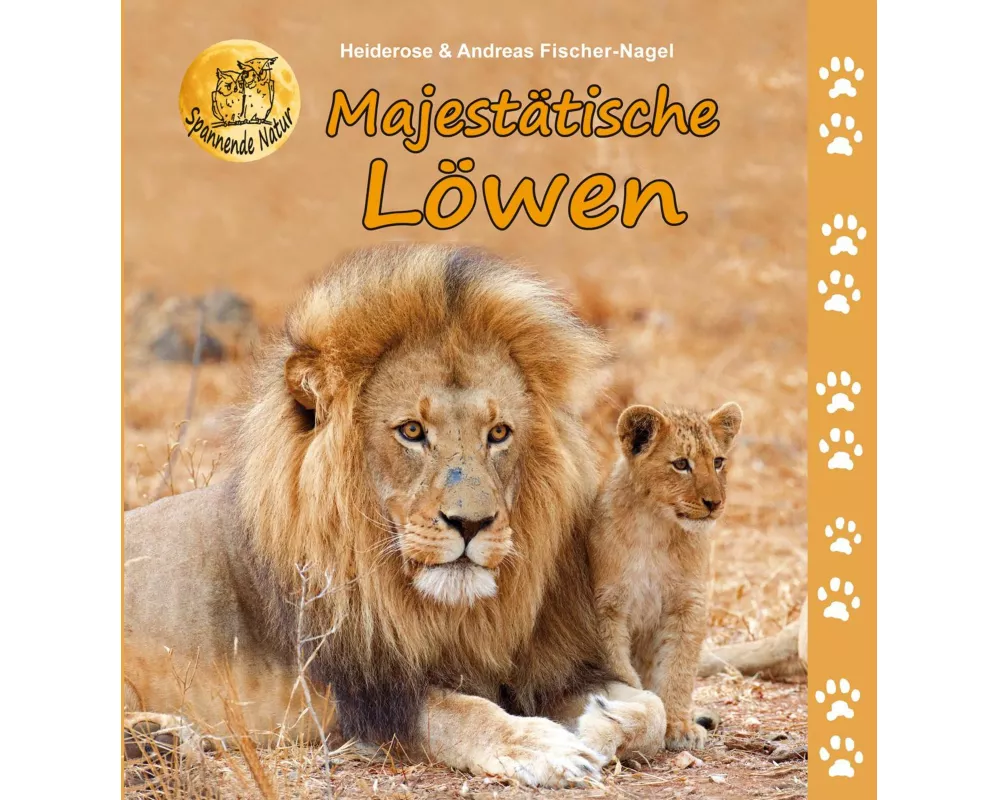 Majestätische Löwen