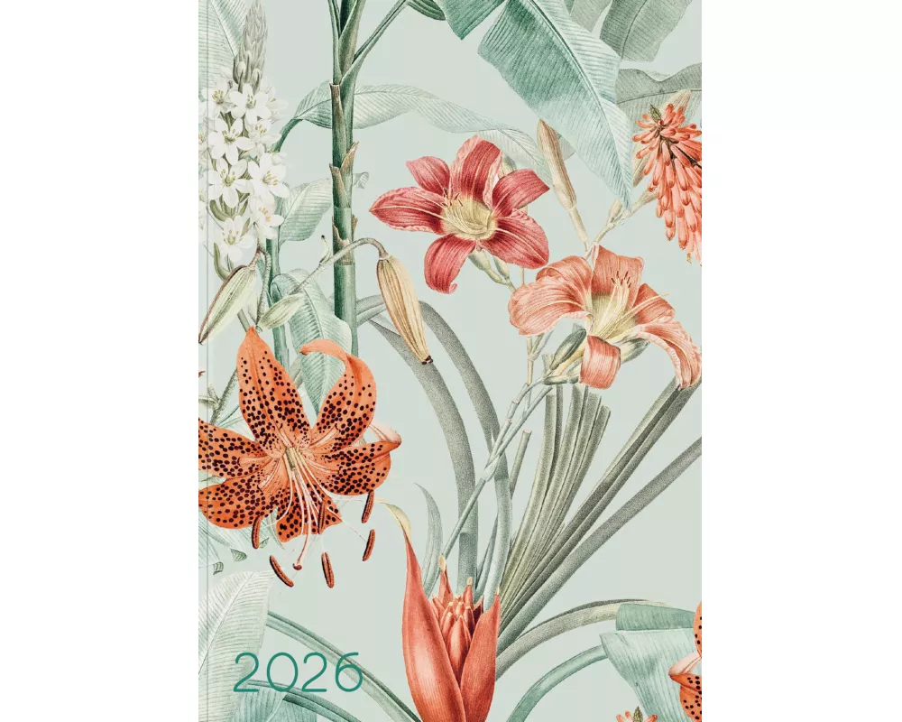 Lady-Timer Paradise 2026