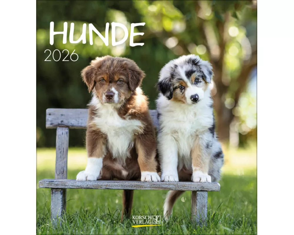 Hunde 2026