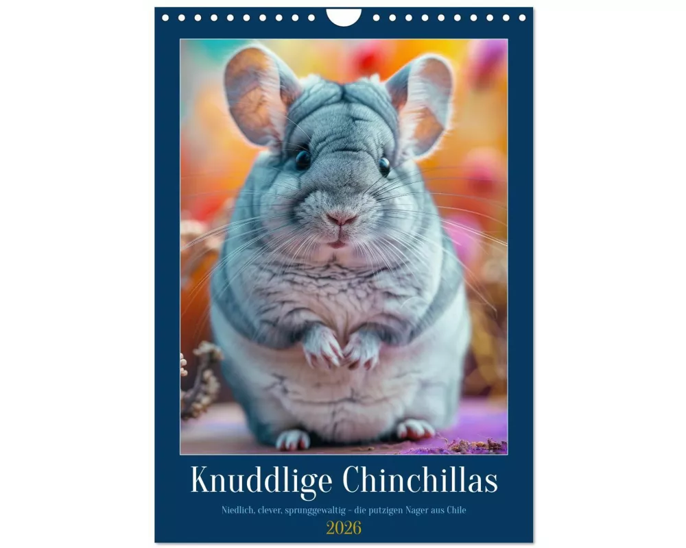 Knuddlige Chinchillas (Wandkalender 2026 DIN A4 hoch), CALVENDO Monatskalender