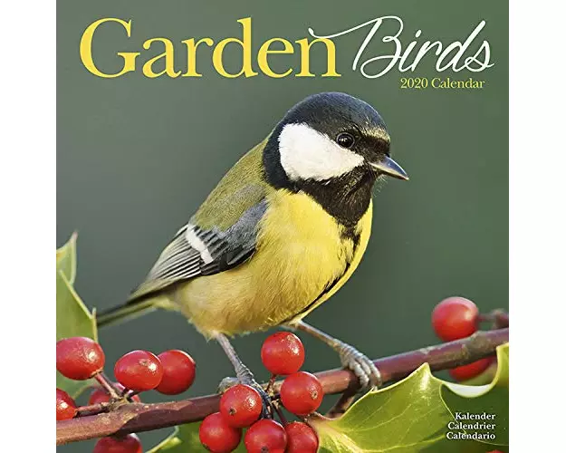 Garden Birds Calendar 2020
