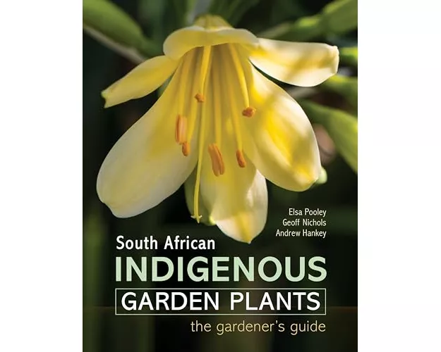South African Indigenous Garden Plants – The gardener’s guide