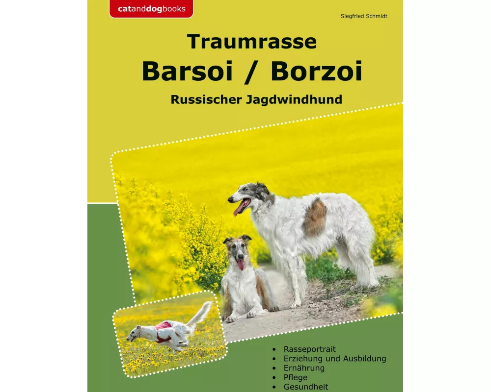 Traumrasse Barsoi / Borzoi