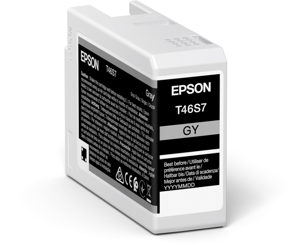 Singlepack Gray T46S7 UltraChrome Pro 10