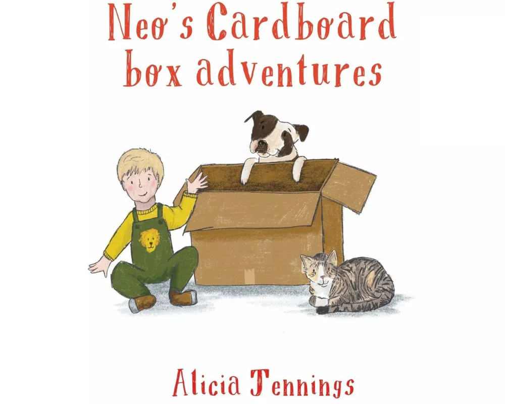 Neo's Cardboard Box Adventures