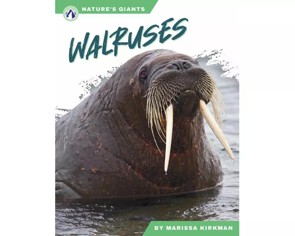 Walruses