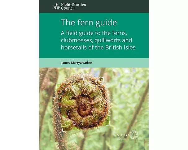 The Fern Guide