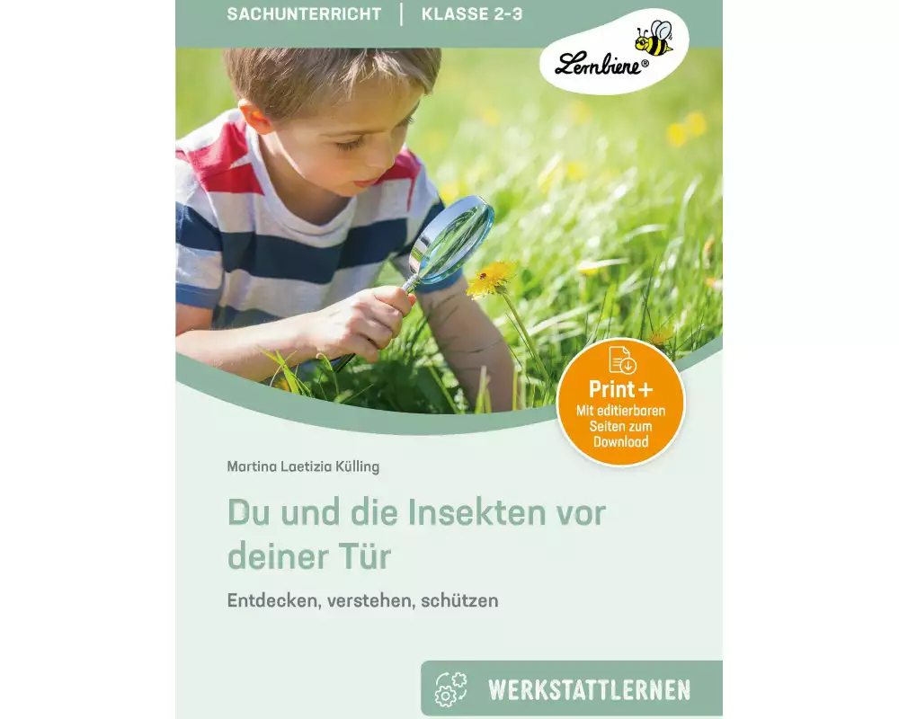 Du und die Insekten vor deiner Tür
