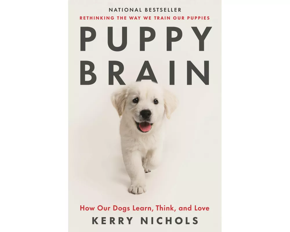 Puppy Brain: How Our Dogs Learn, Think, and Love
