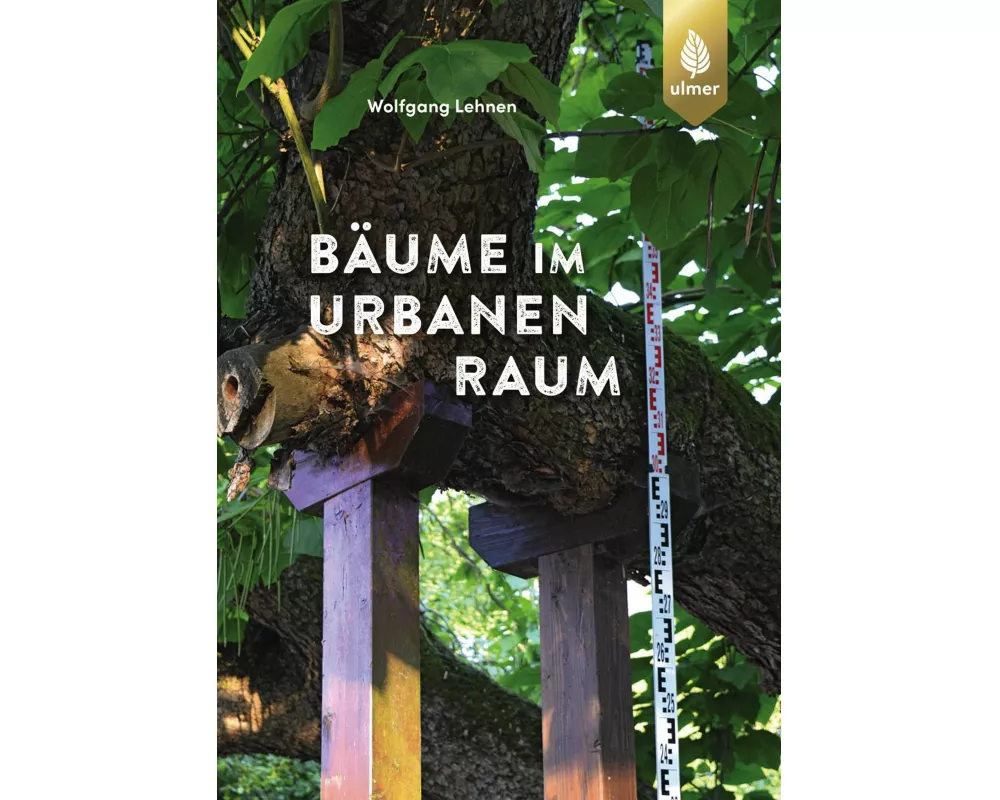 Bäume im urbanen Raum