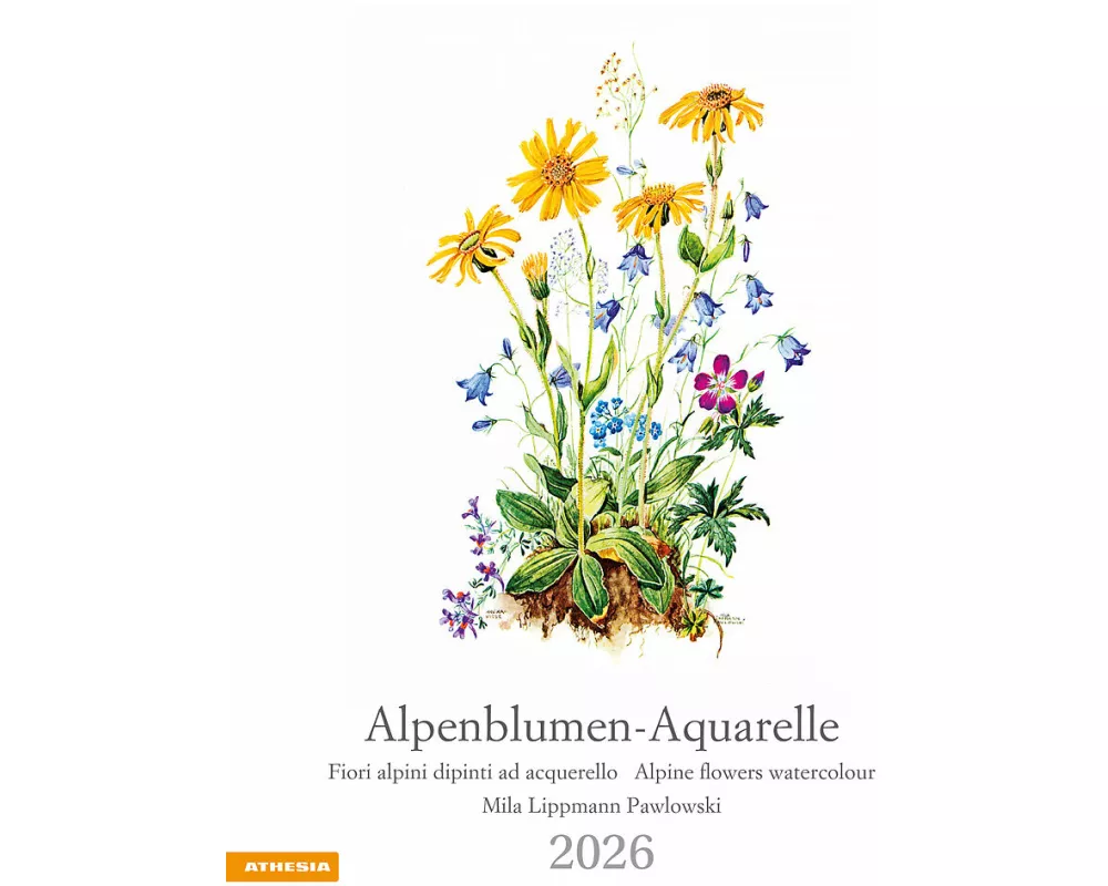 Alpenblumen-Aquarelle Kalender 2026