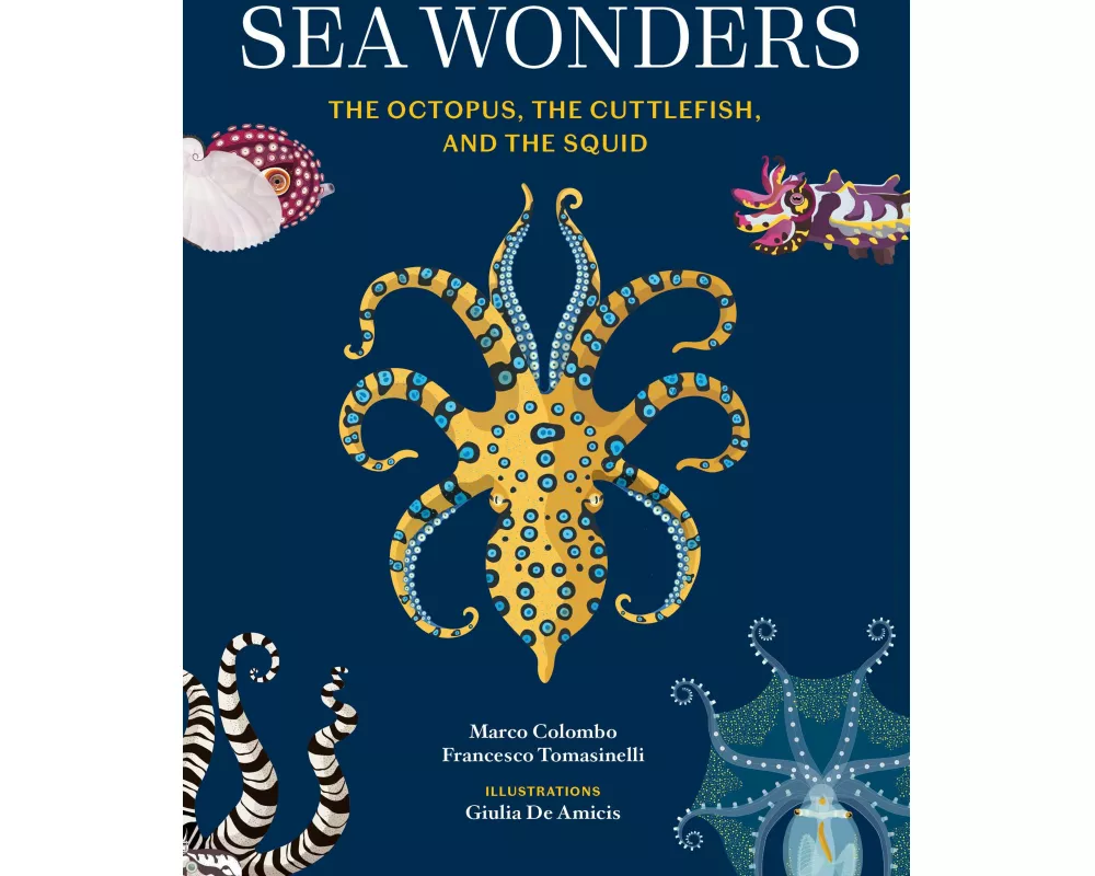 Sea Wonders
