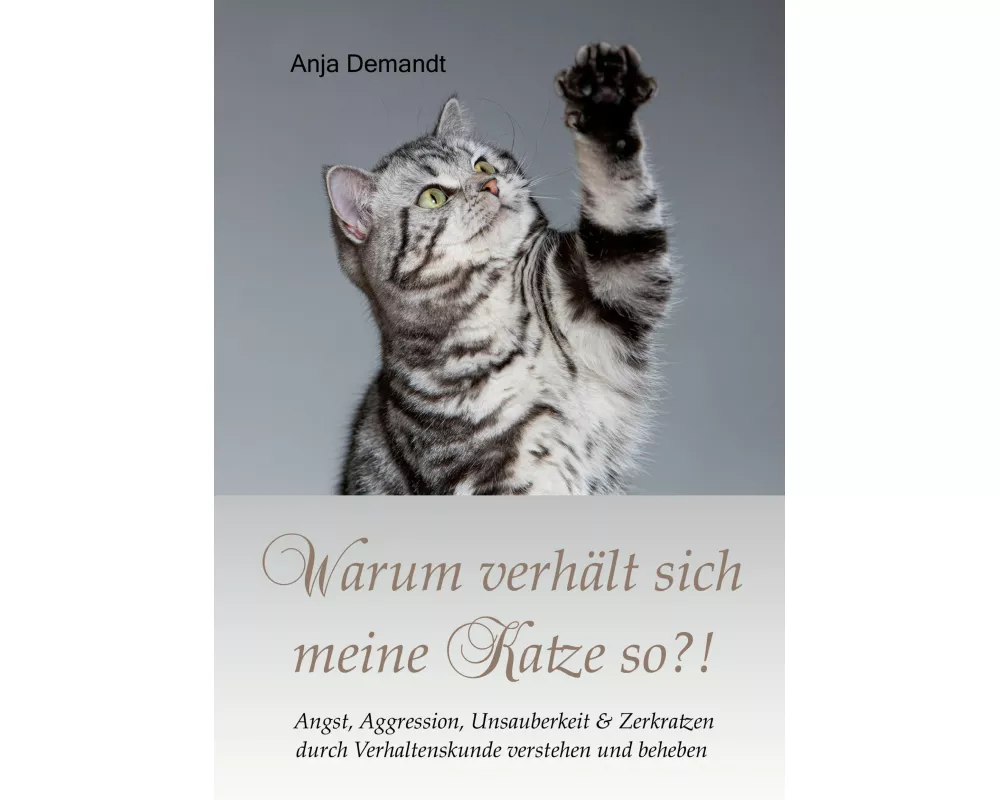 Warum verhält sich meine Katze so
