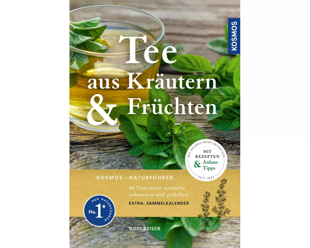 Tee aus Kräutern und Früchten