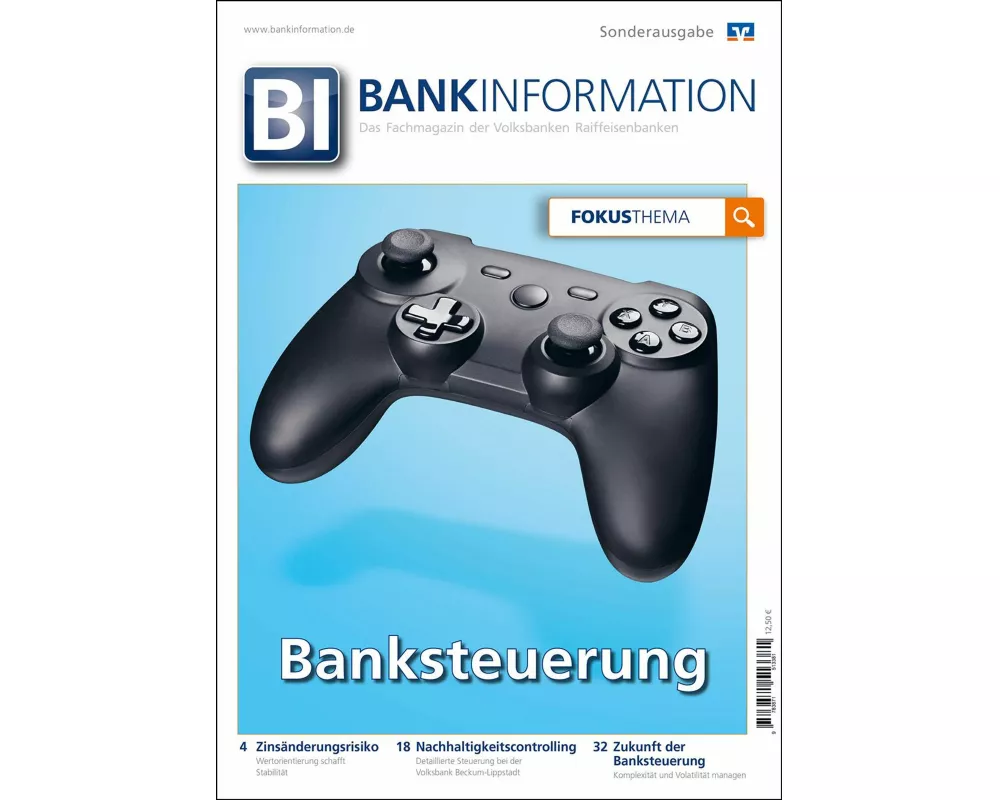 BankInformation, Fokus-Thema: Banksteuerung