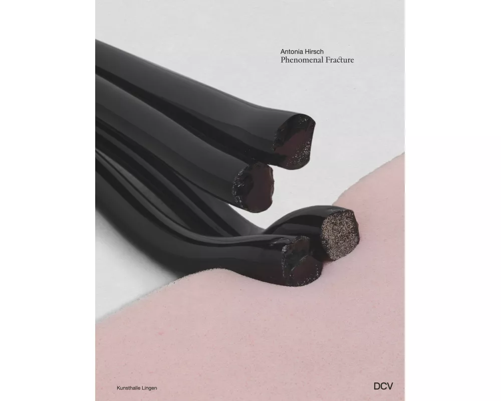 Antonia Hirsch - Phenomenal Fracture