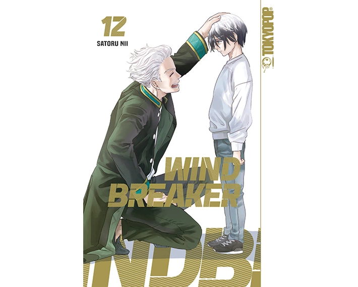 Wind Breaker 12