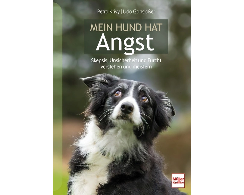 Mein Hund hat Angst