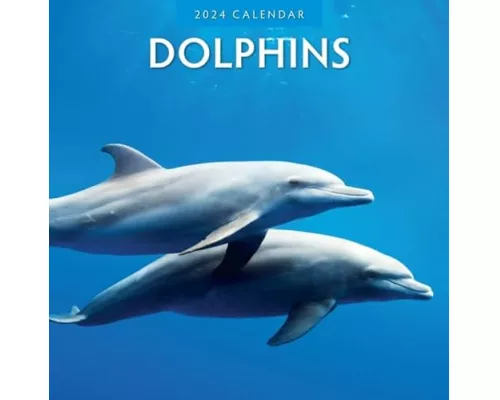 Dolphins 2024 Square Wall Calendar