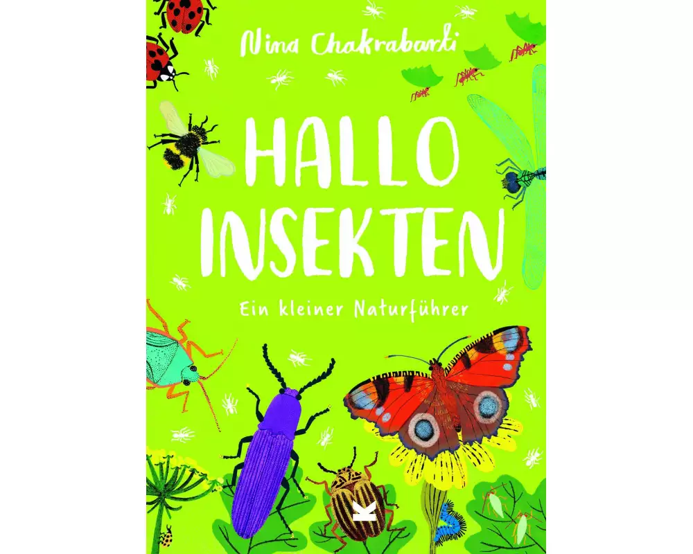 Hallo Insekten