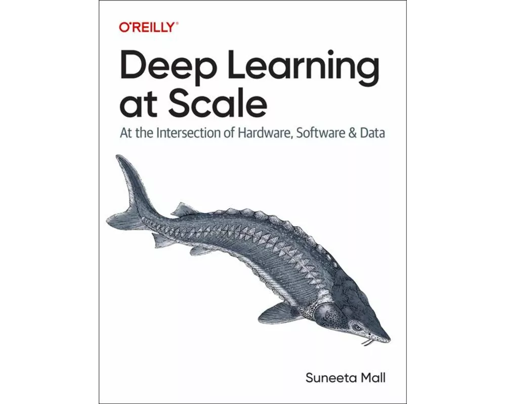 Deep Learning at Scale