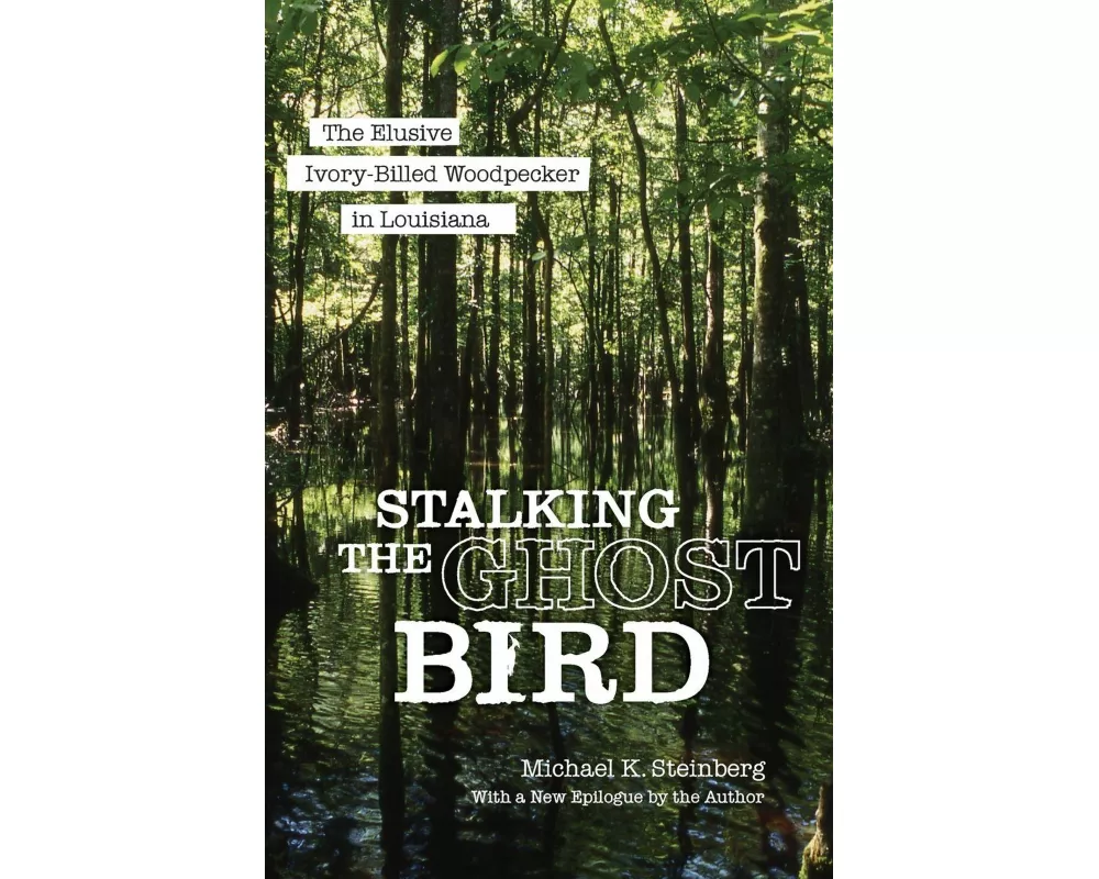 Stalking the Ghost Bird