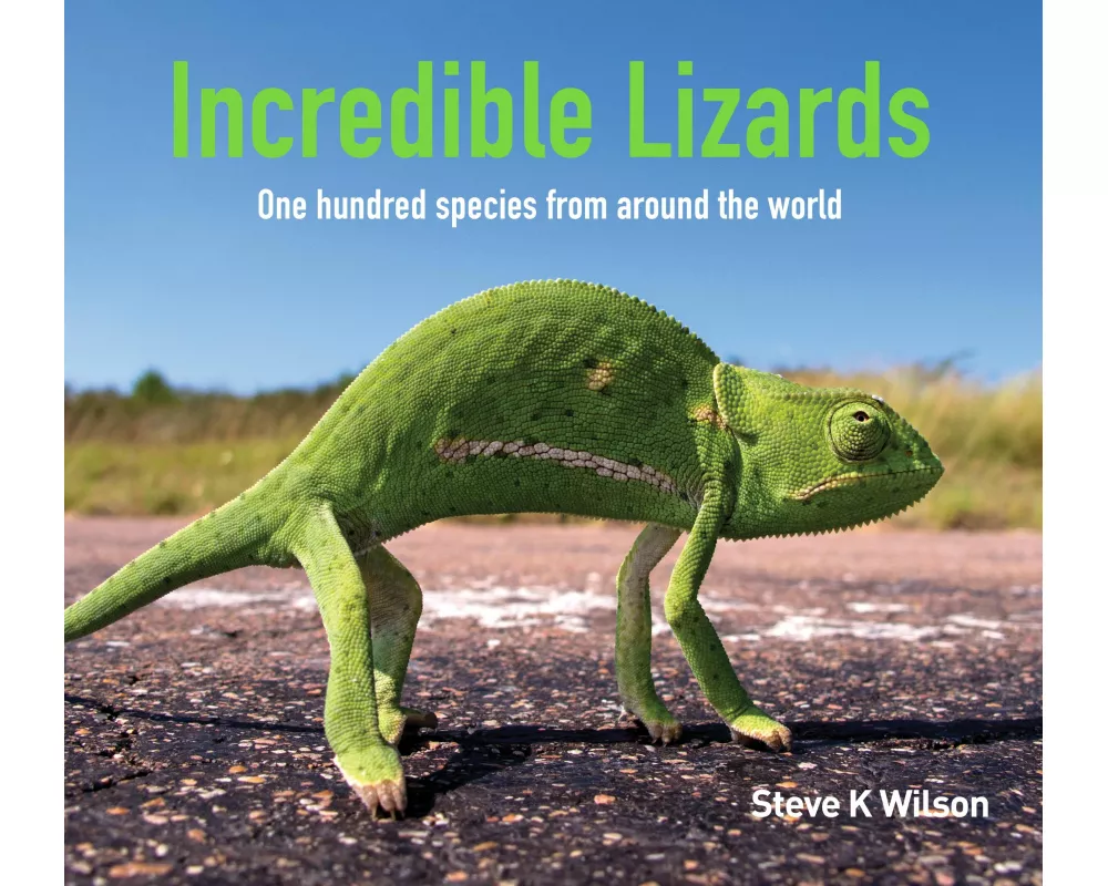 Incredible Lizards