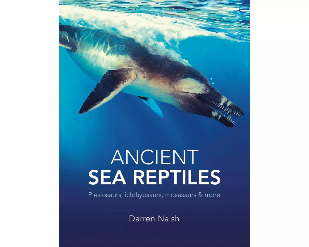Ancient Sea Reptiles
