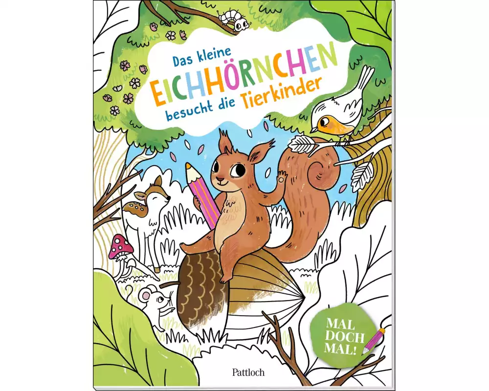 Mal doch mal! – Das kleine Eichhörnchen besucht die Tierkinder