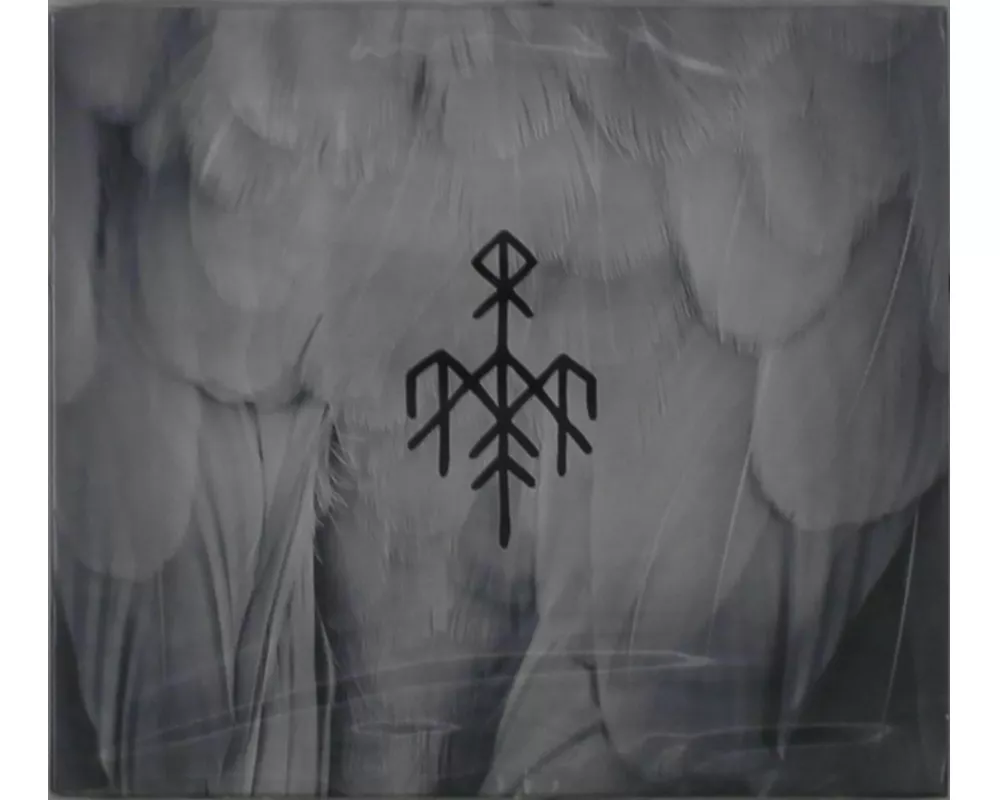 Kvitravn - First Flight of the White Raven