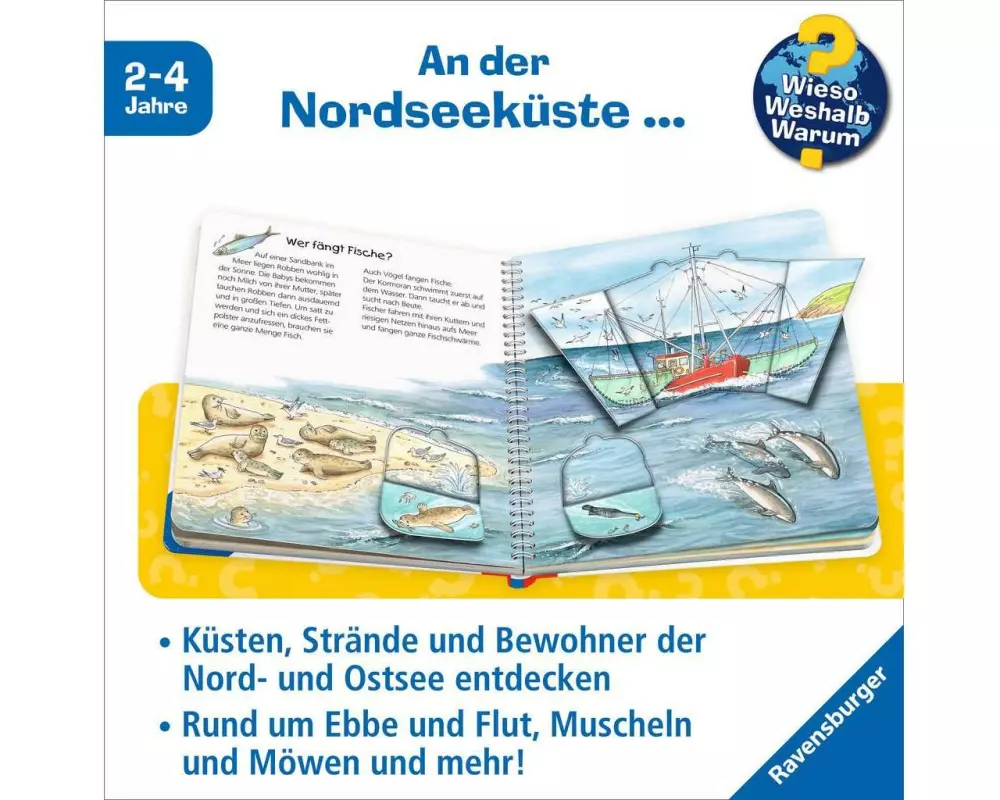 Ravensburger Kinder-Sachbuch Am Meer für Kinder 2-4 Jahre