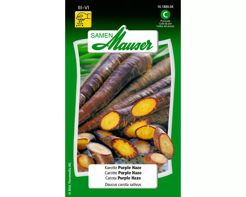 Samen Mauser Samen Karotte Purple Haze