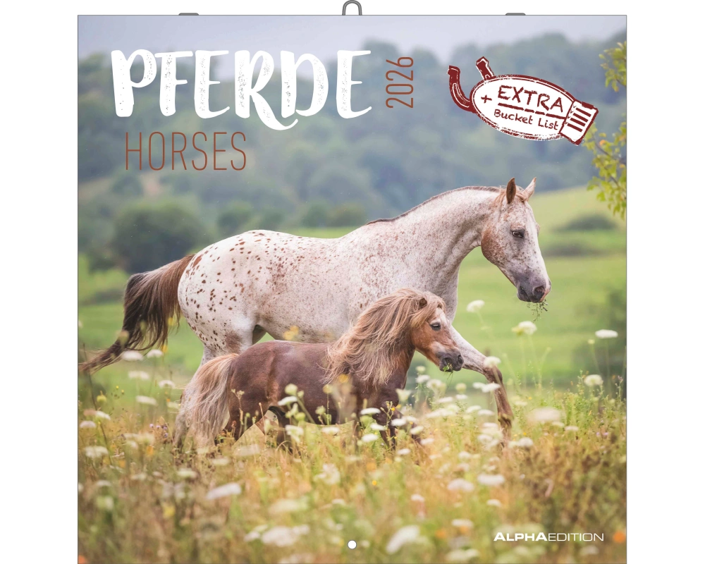 ALPHA EDITION Bildkalender 2026 160303 Pferde ML 30x30cm