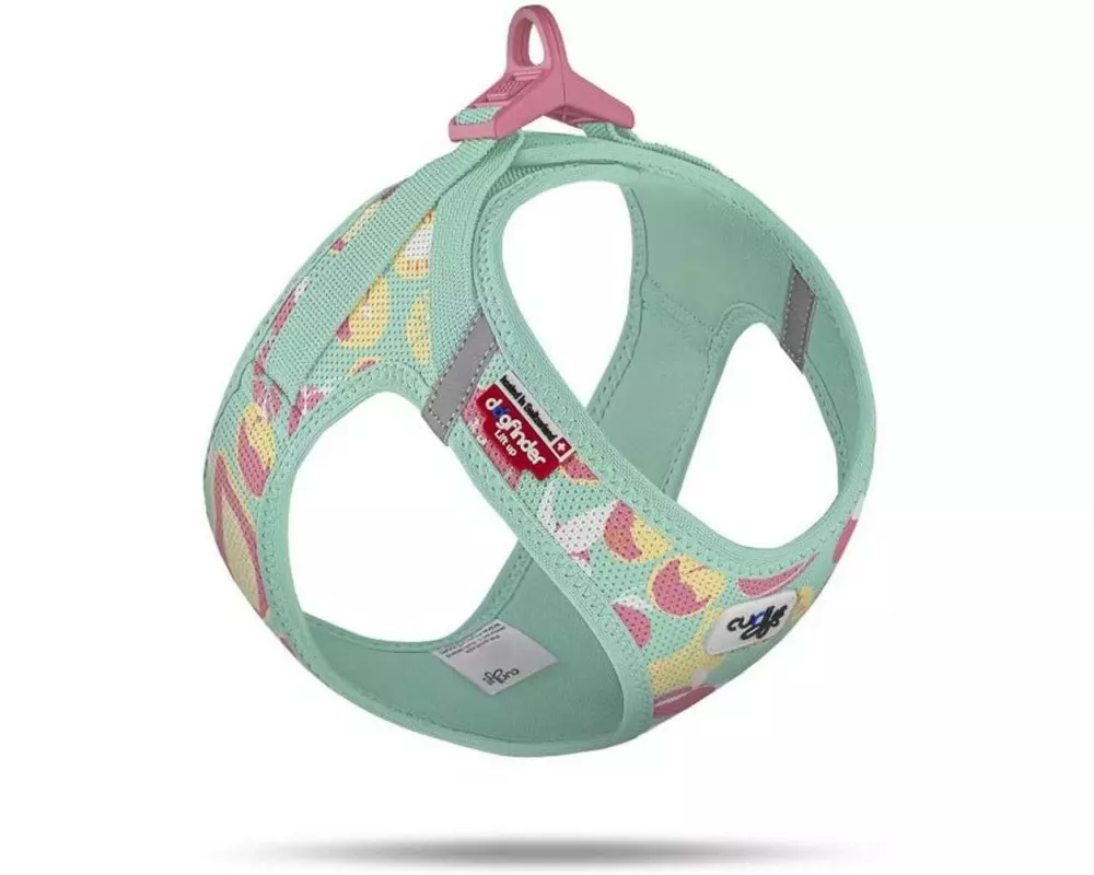 curli Geschirr Vest Air-Mesh LE26 3XS Juicy Fruits Türkis