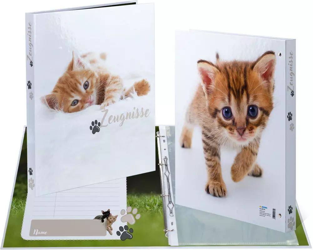 HERMA Ringbuch Zeugnis A4 Katzen 1 Stück