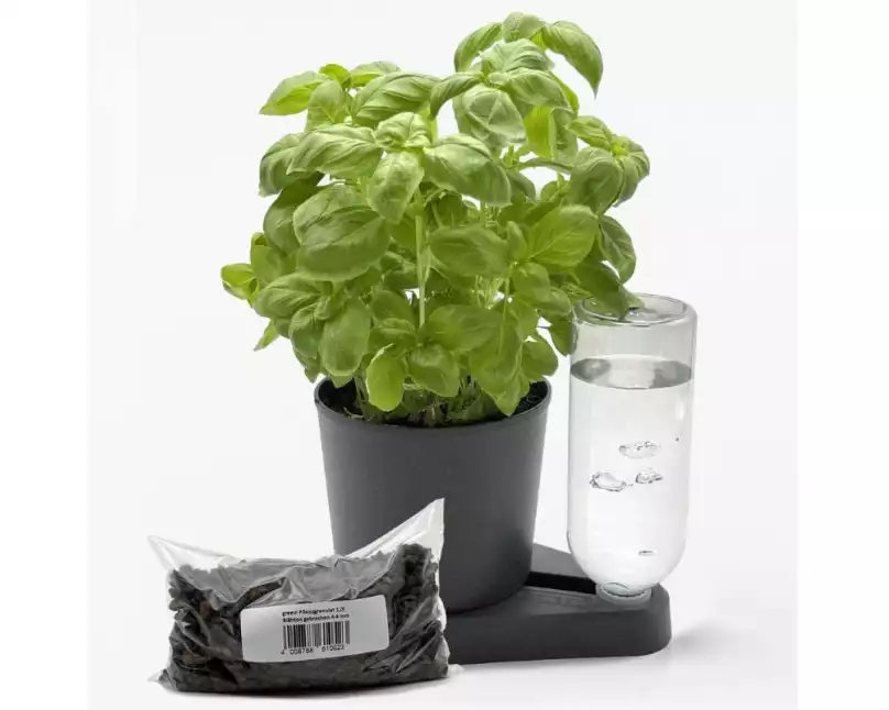 Greevi Bio Kräuterheld & Pflanzgranulat Bundle Anthrazit