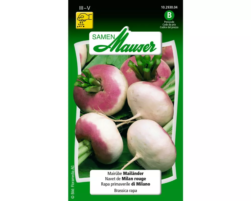 Samen Mauser Samen Mairübe Mailänder