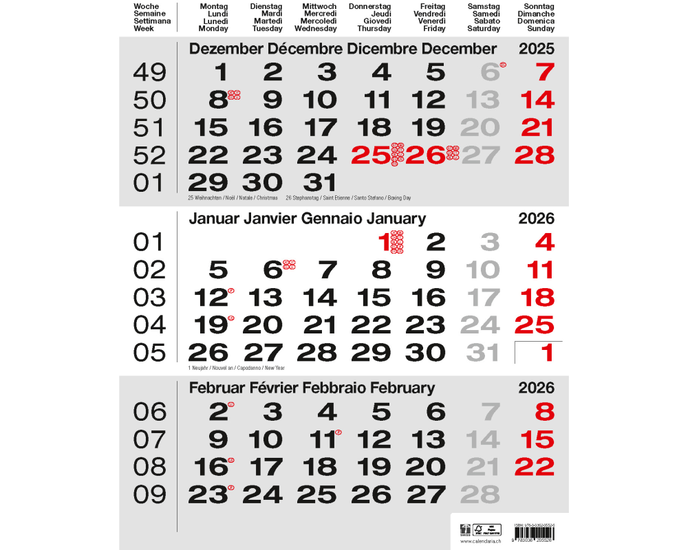 CALENDARIA 3-Monats-Wandkalender 2026 9783036205526 grau 31x40cm