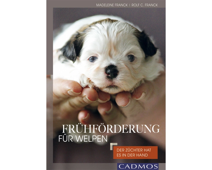 Frühförderung für Welpen