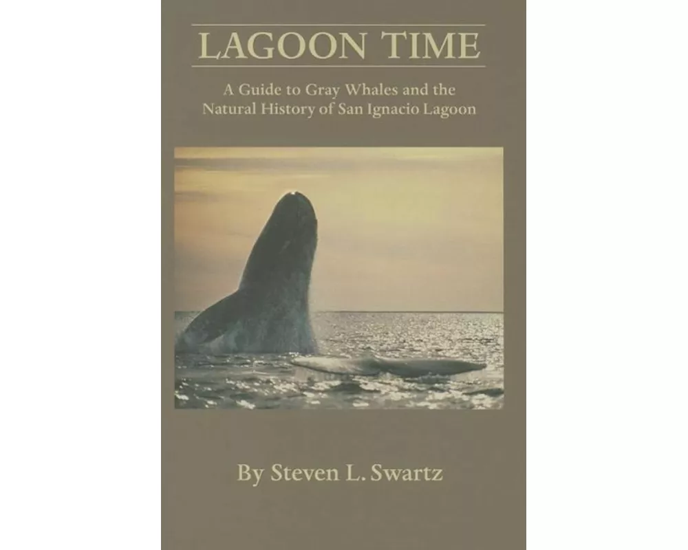 Lagoon Time: A Guide to Grey Whales and the Natural History of San Ignacio Lagoon