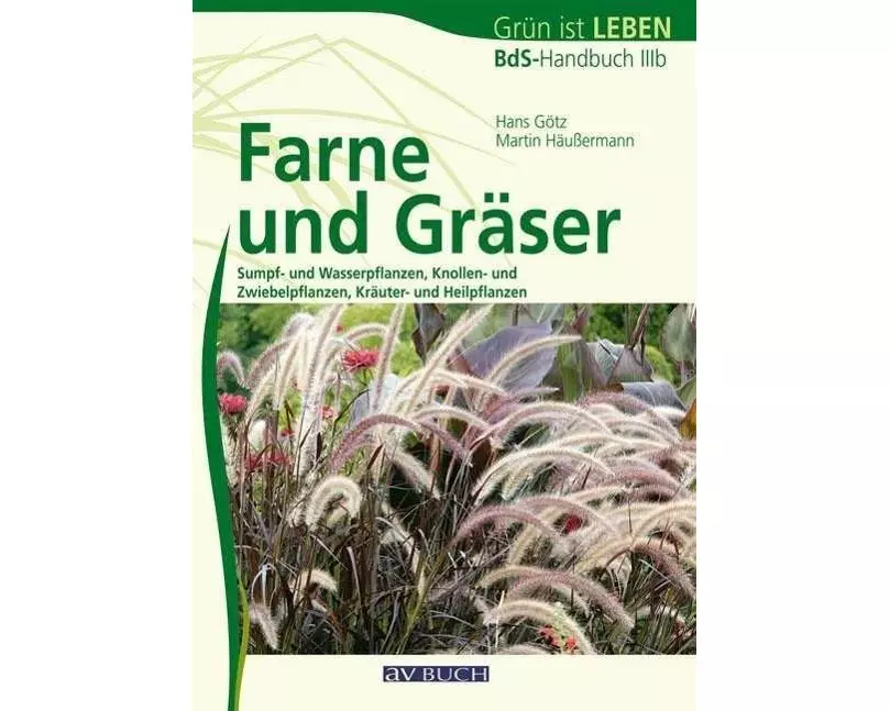 Farne und Gräser