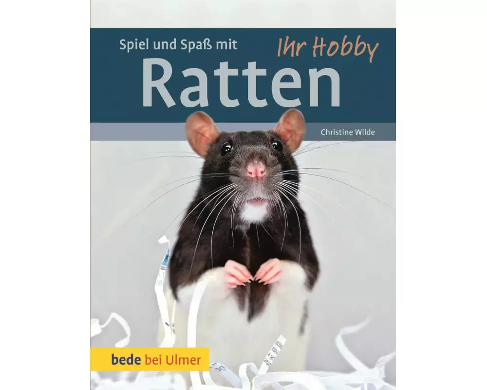 Spiel und Spass mit Ratten